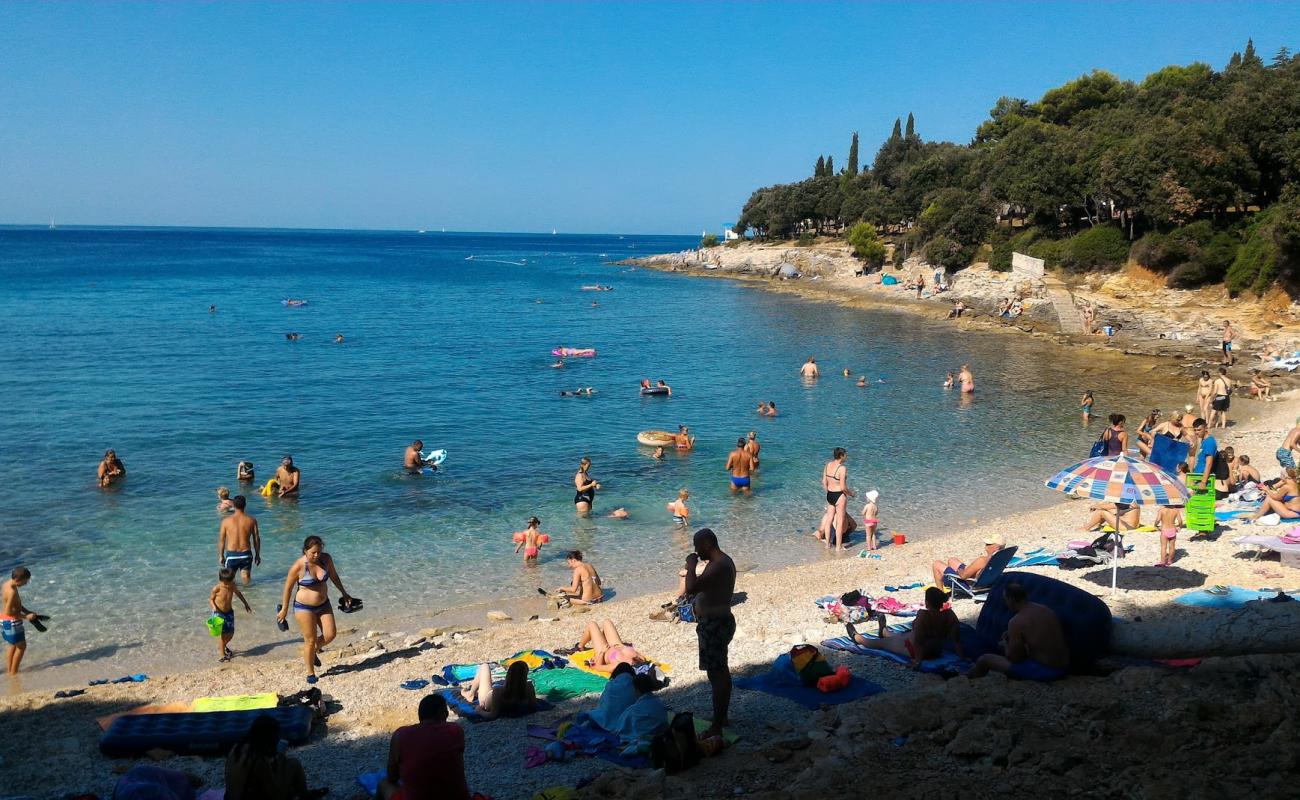 Photo de Saccorgiana Cove avec roches de surface