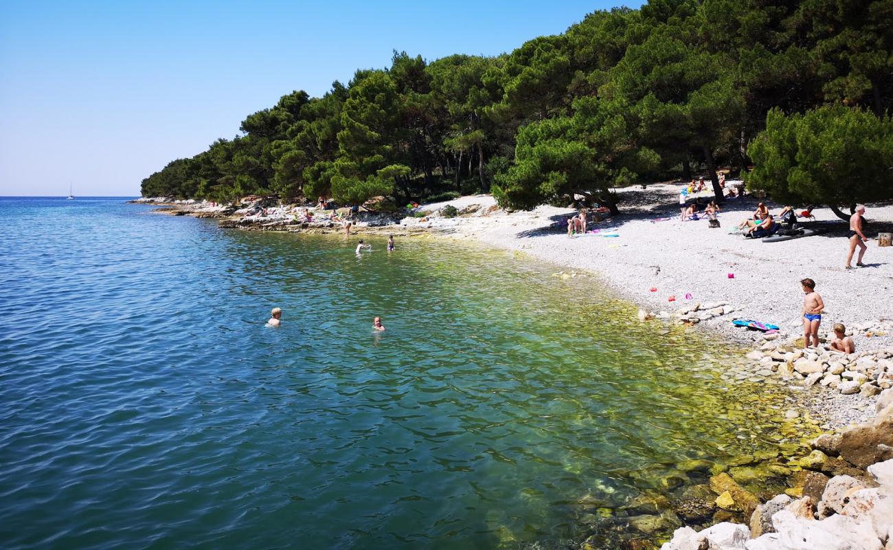 Photo de Paltana beach avec caillou gris de surface