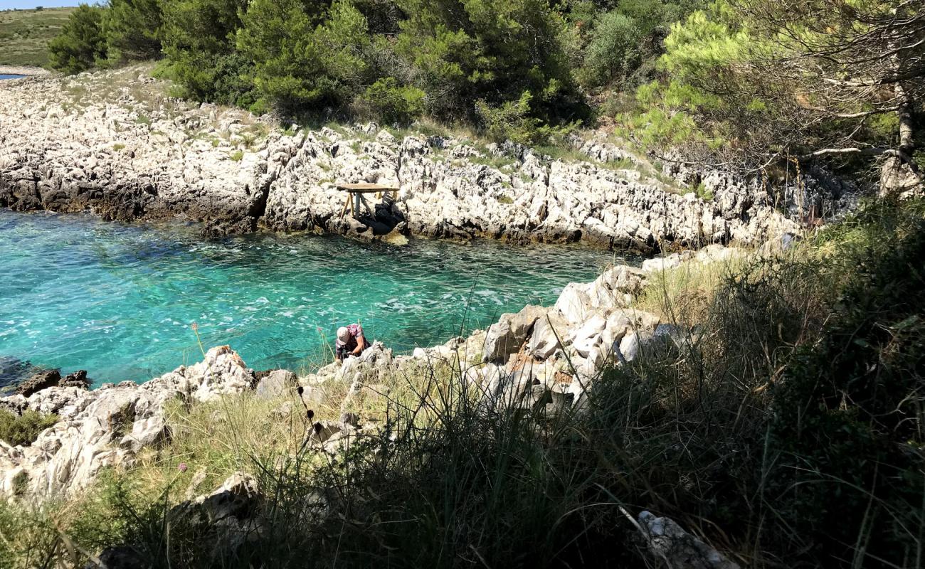 Photo de Draga beach avec roches de surface