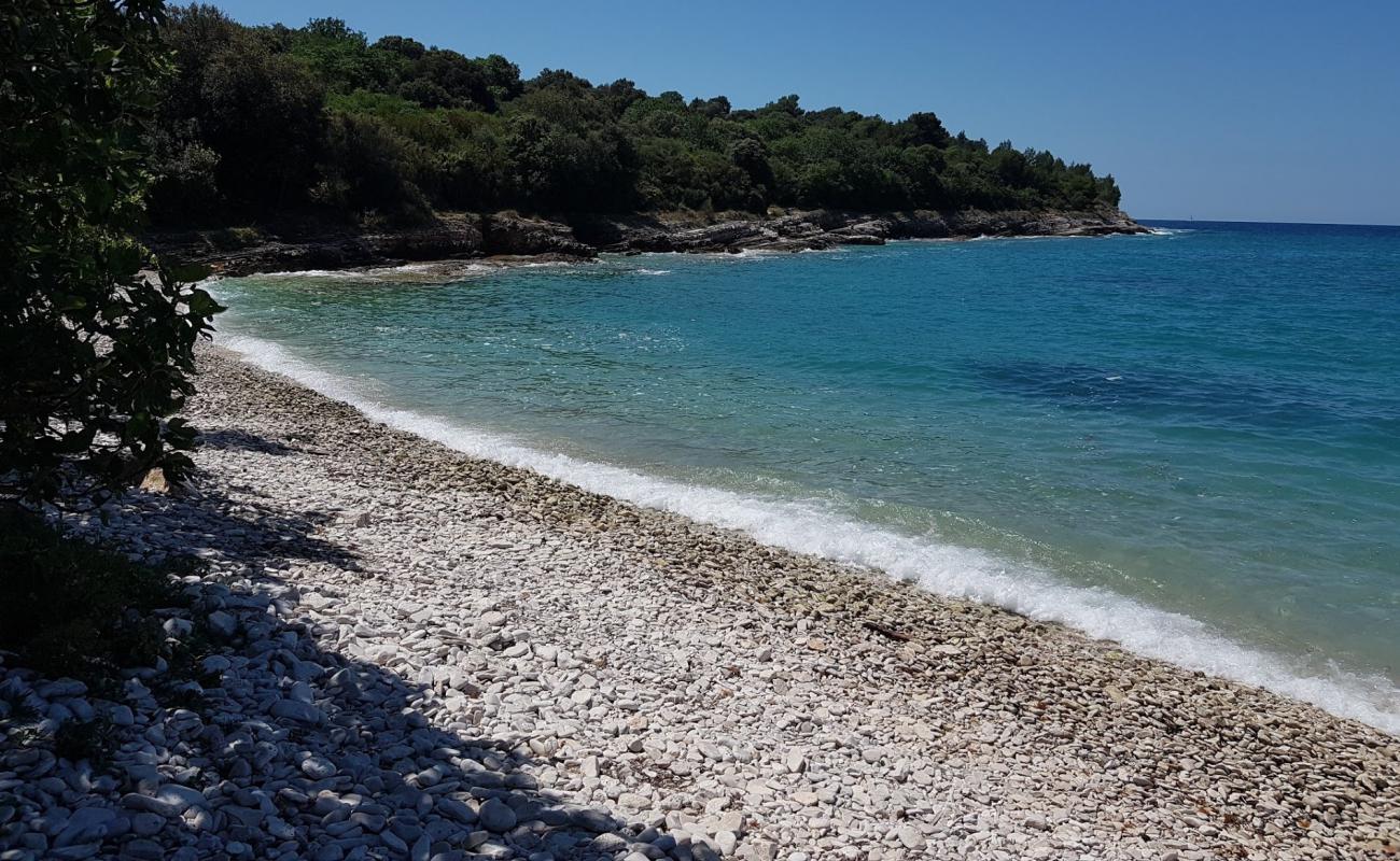 Photo de Polje beach avec roches de surface