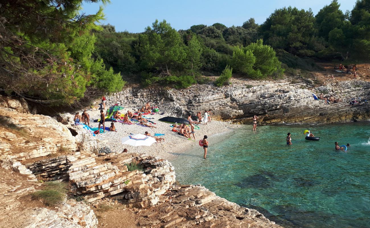 Photo de Plovanije beach avec caillou clair de surface