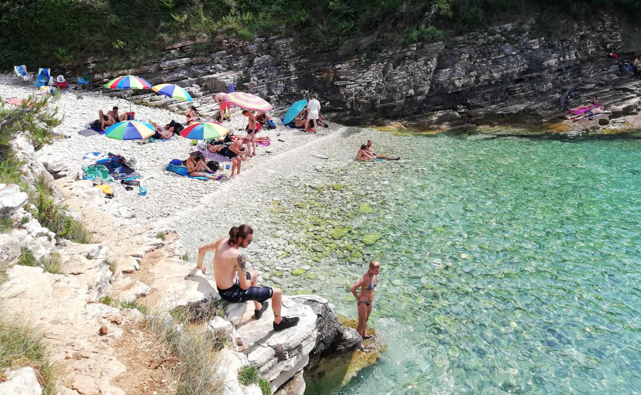 Photo de Radovica beach avec caillou clair de surface