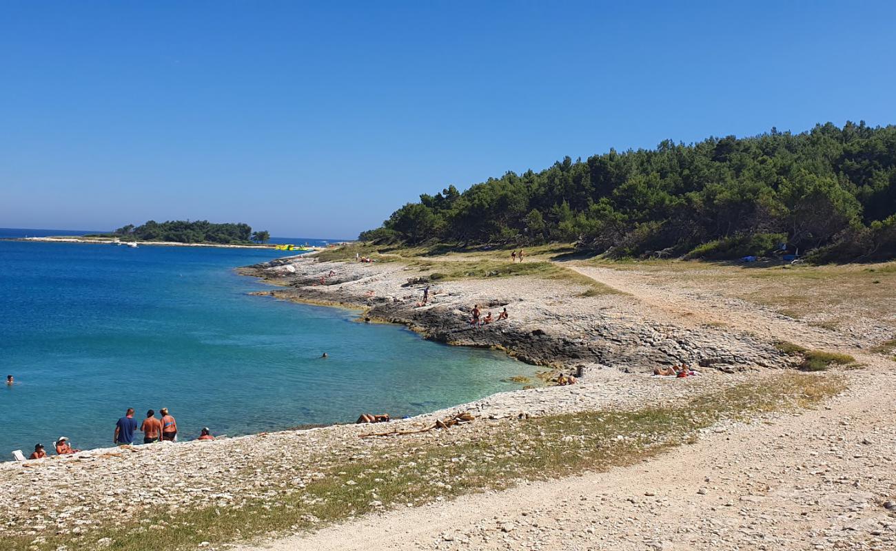 Photo de Drazice beach avec caillou clair de surface