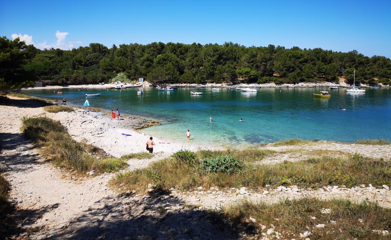 Photo de Lokva beach avec caillou clair de surface