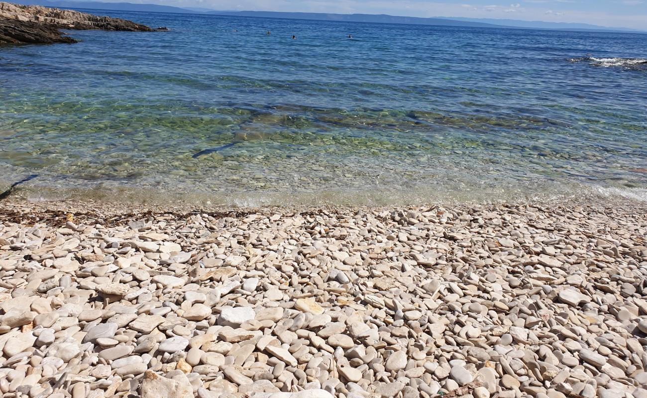 Photo de Vela Draga beach avec sable beige & pierres de surface