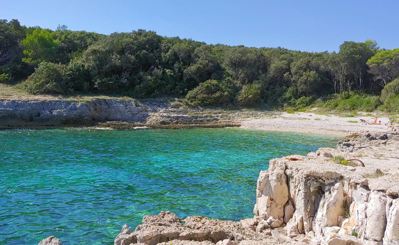 Photo de Zaglenicina beach avec caillou clair de surface