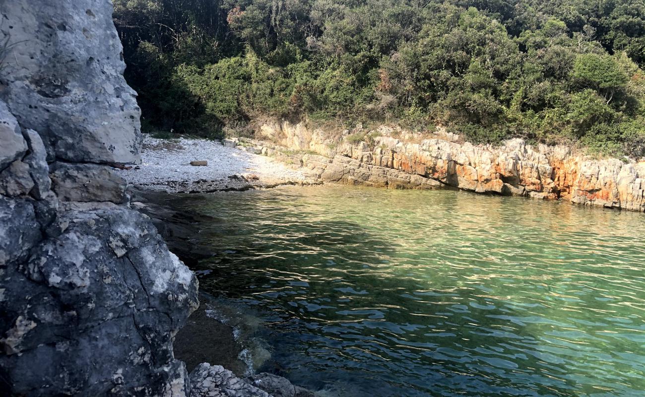 Photo de Jarovica beach avec caillou clair de surface