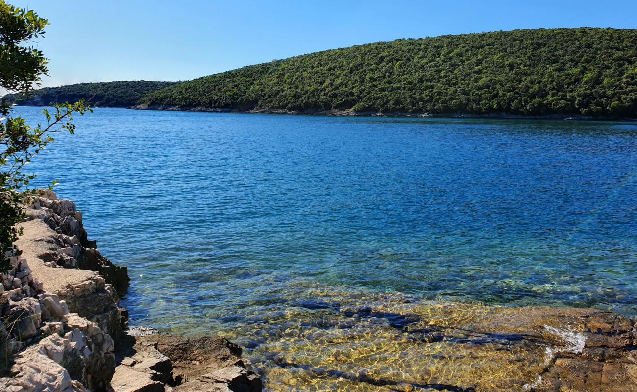 Photo de Wild beach avec roches de surface