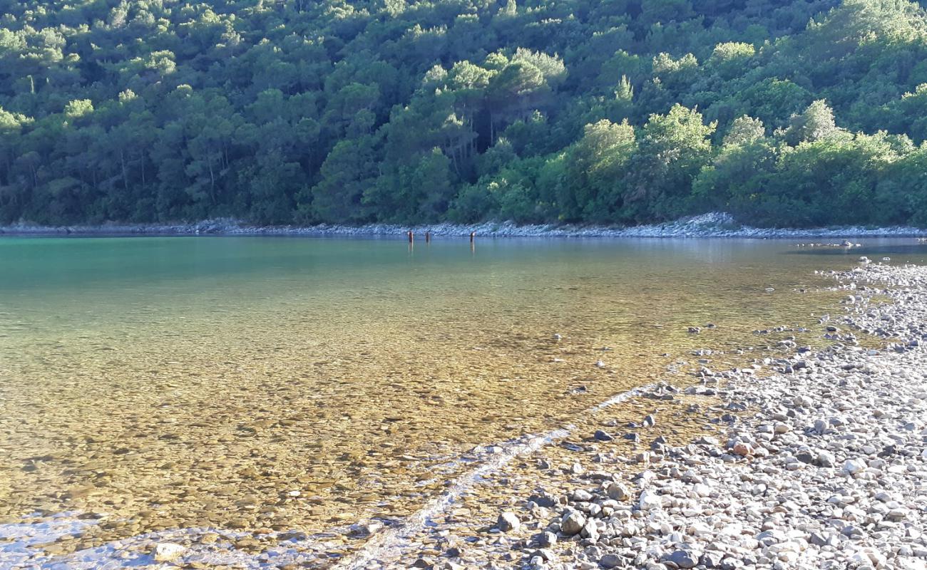 Photo de Prtlog beach avec roches de surface