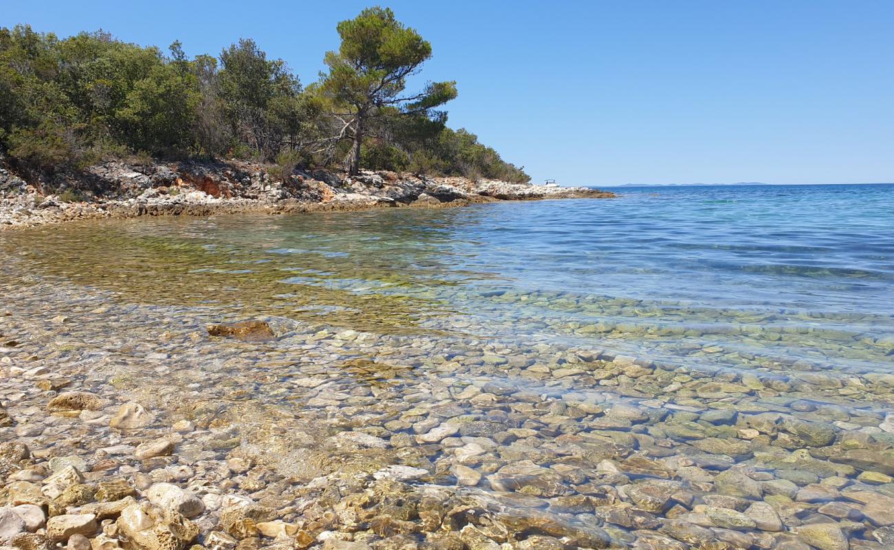 Photo de Punta Skala beach avec roches de surface