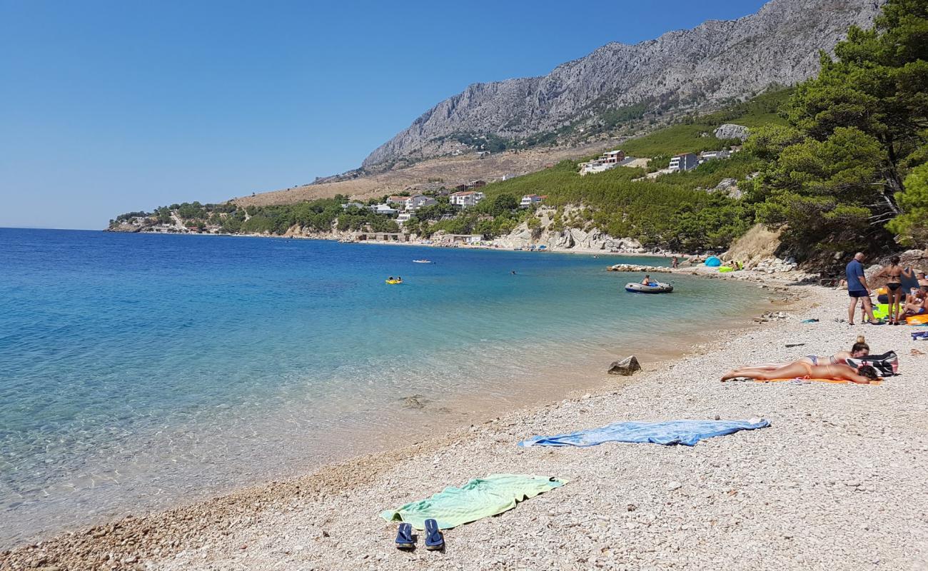 Photo de Zicova Riva beach avec galets beige de surface