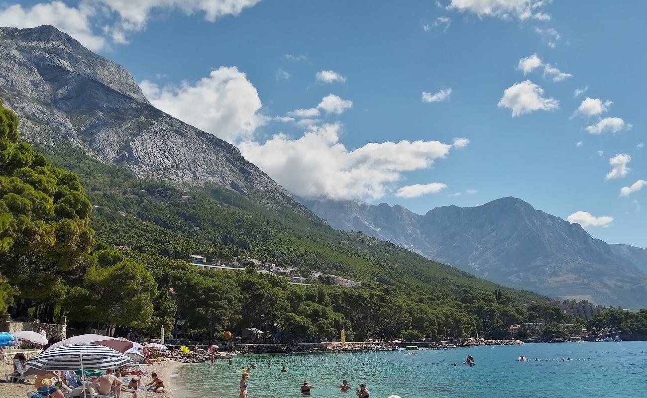 Photo de Plage de Punta Rata avec caillou fin clair de surface