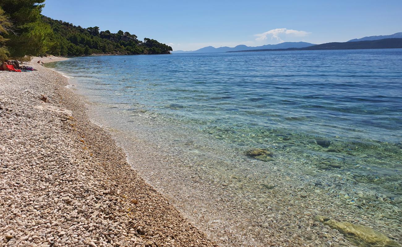Photo de Djevicanska beach avec sable clair avec caillou de surface