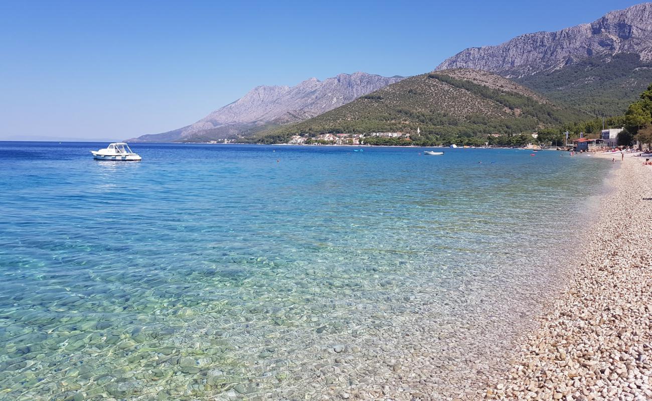 Photo de Zaostrog Male Ciste avec caillou fin clair de surface