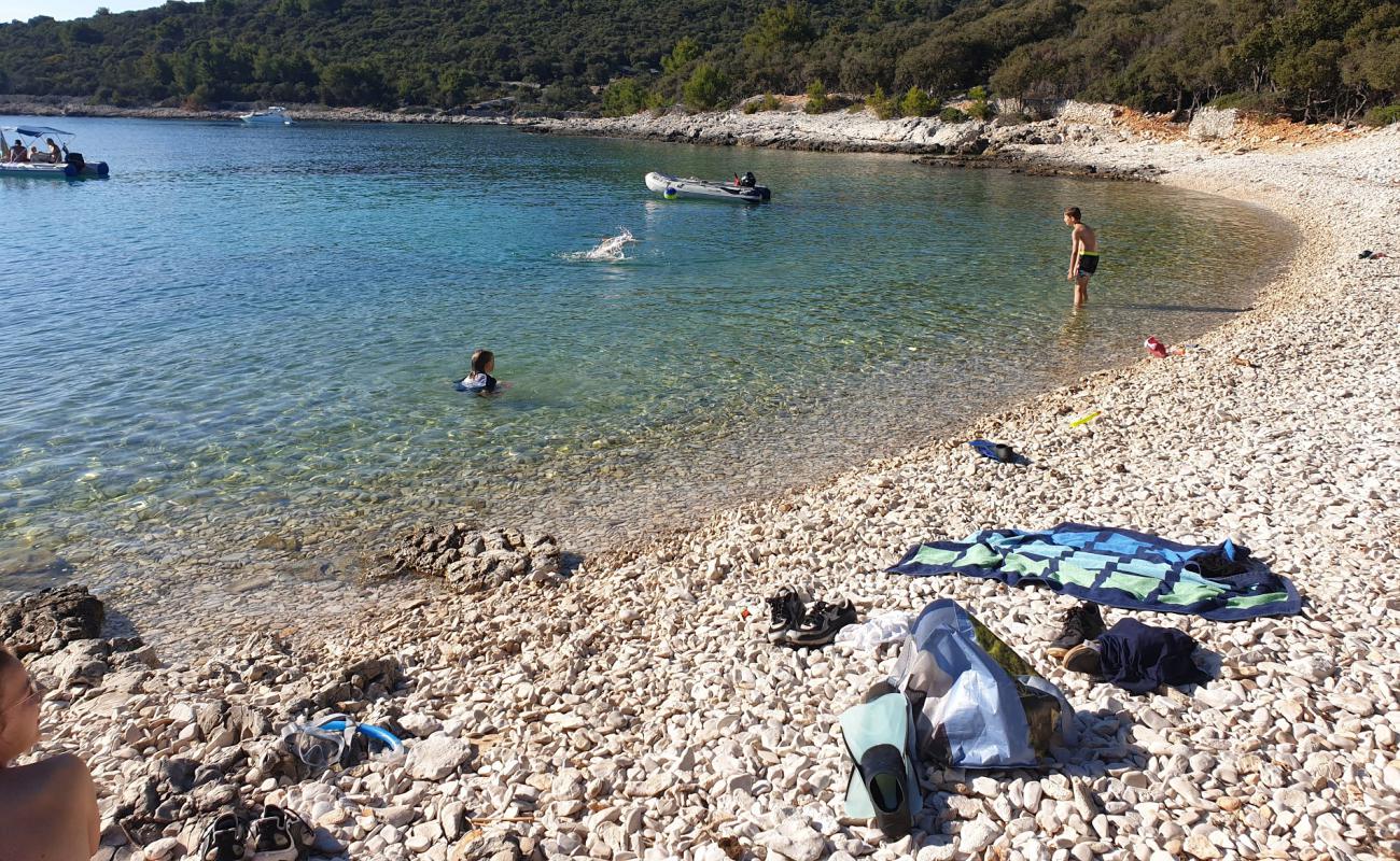 Photo de Sunfarni Bucht avec roches de surface