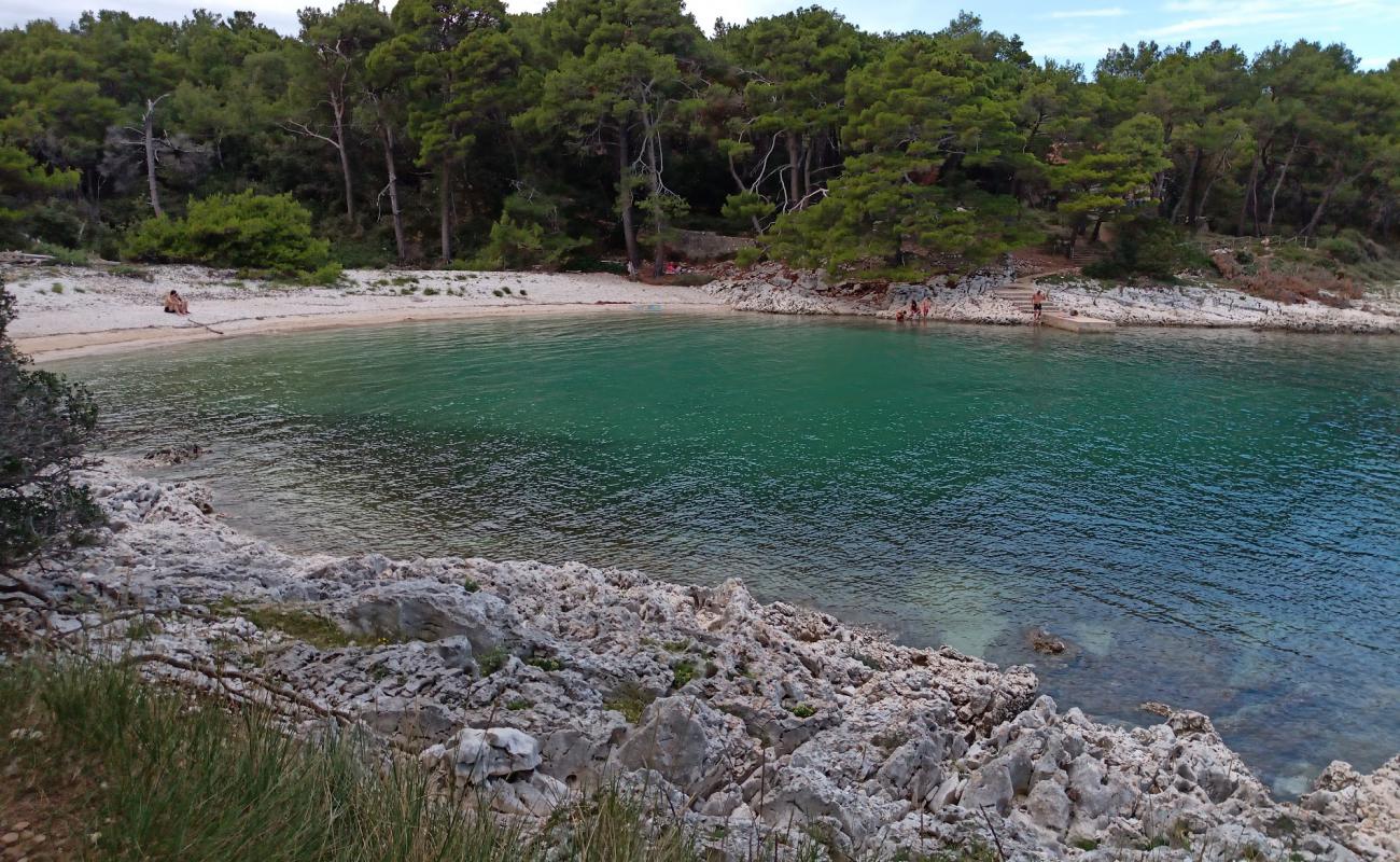 Photo de Plaza Zabodarski avec roches de surface