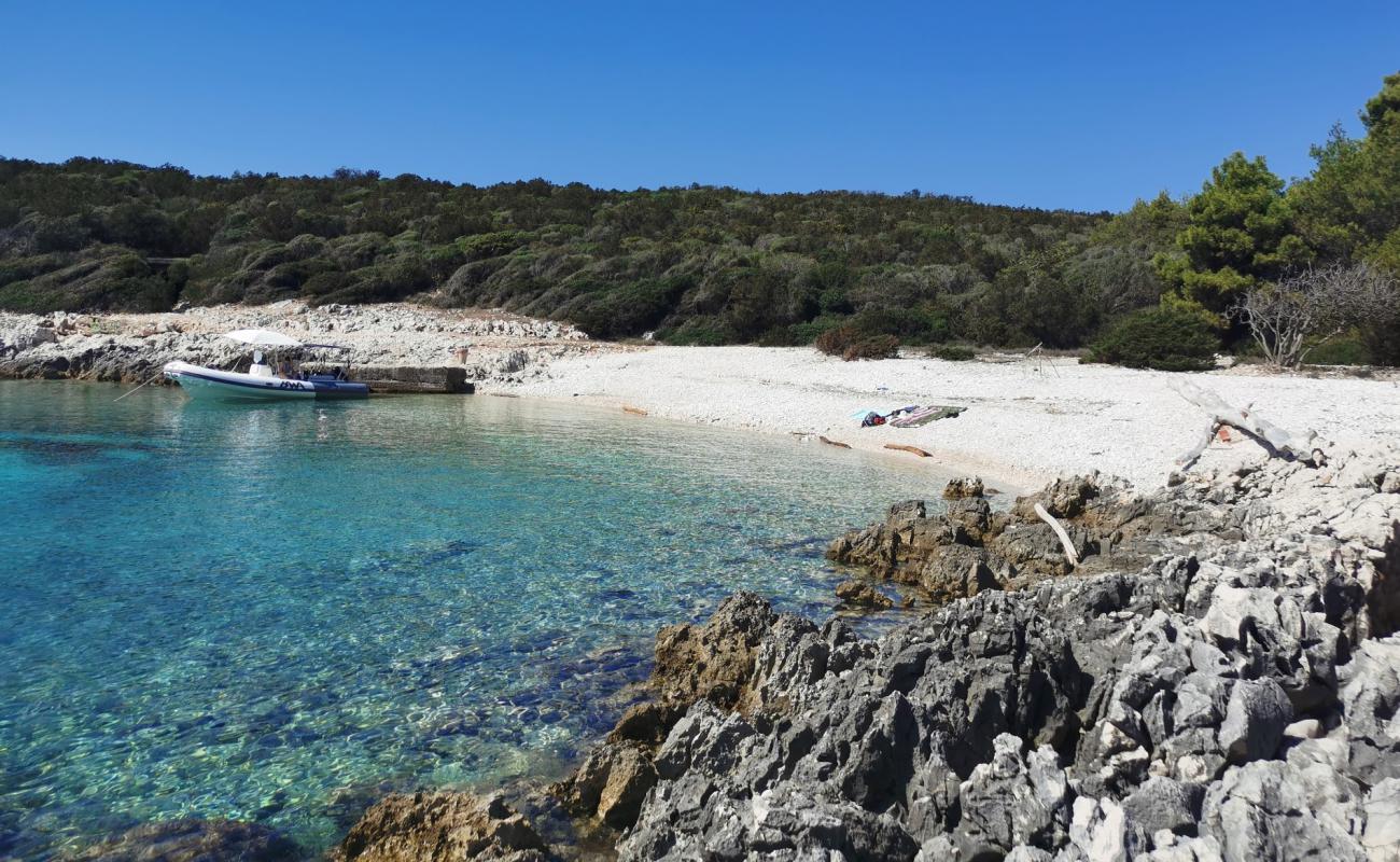 Photo de Parknu beach avec caillou blanc de surface