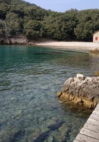 Île de Plavnik