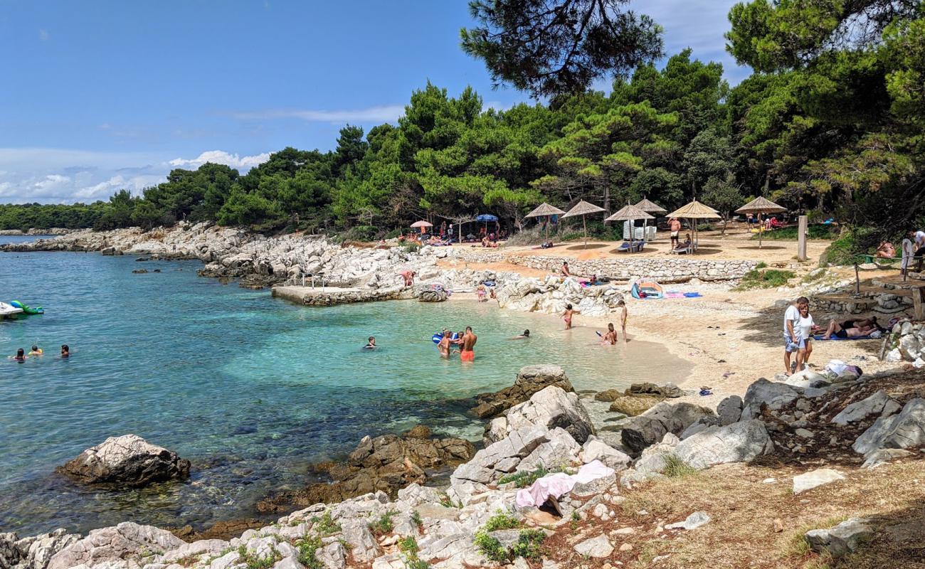 Photo de Tara beach avec caillou fin clair de surface