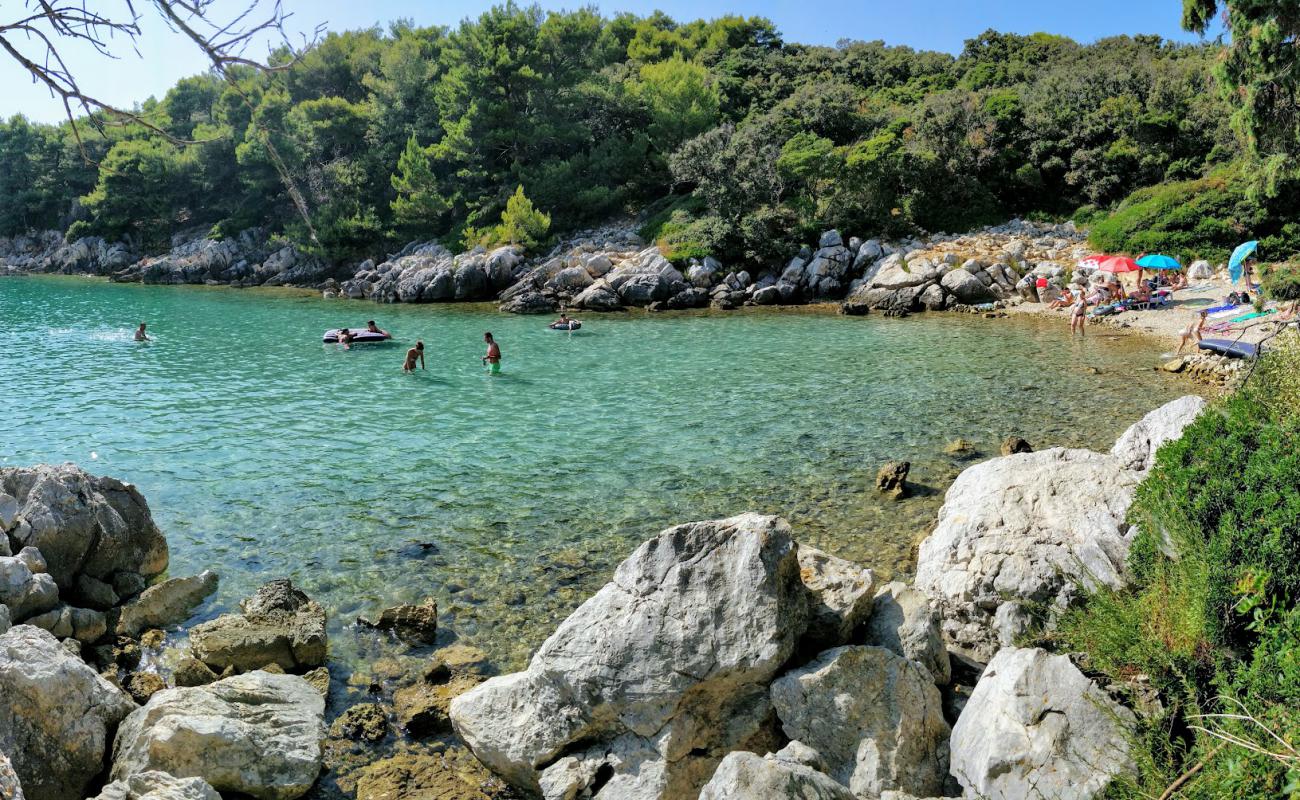 Photo de Jelenovica beach avec roches de surface