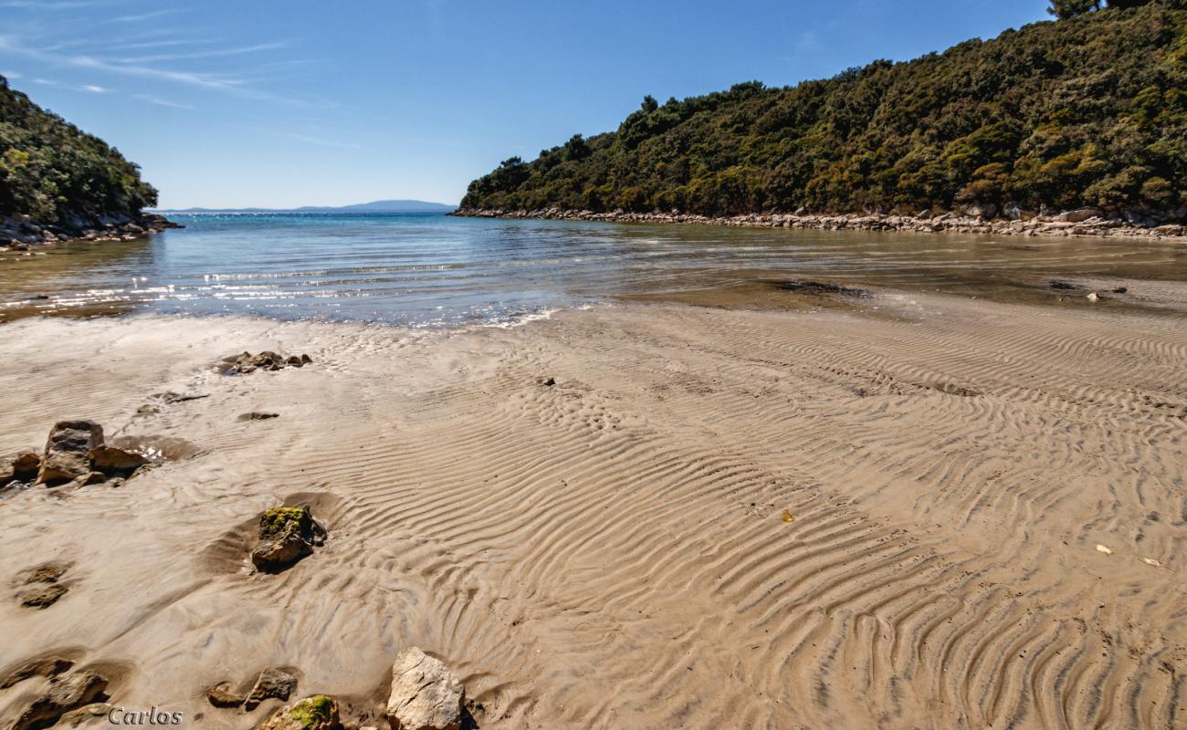 Photo de Valsika beach avec sable gris & rochers de surface