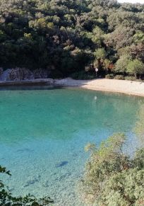 Ruzici