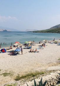 Kustici