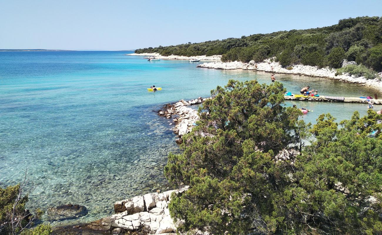 Photo de Boyani beach avec roches de surface