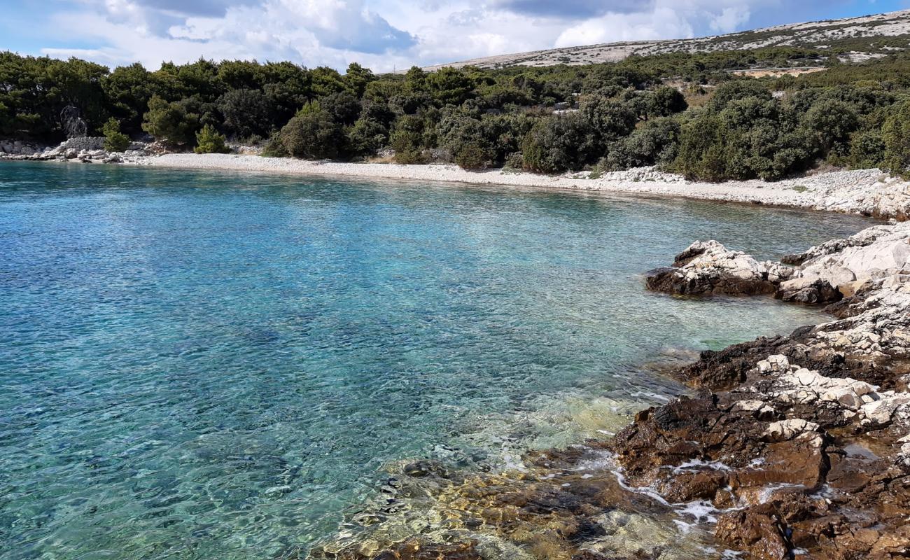 Photo de Stork beach avec galets blancs de surface