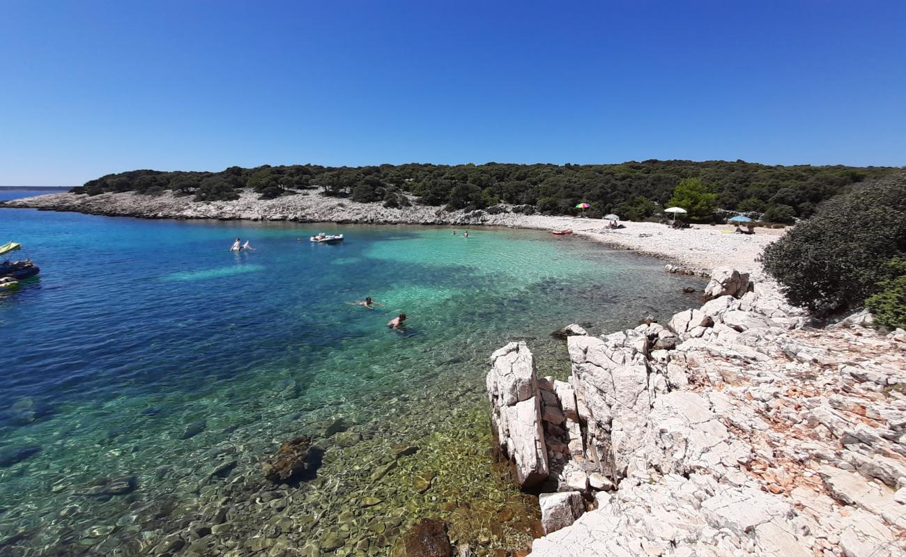 Photo de Marlin beach avec caillou clair de surface