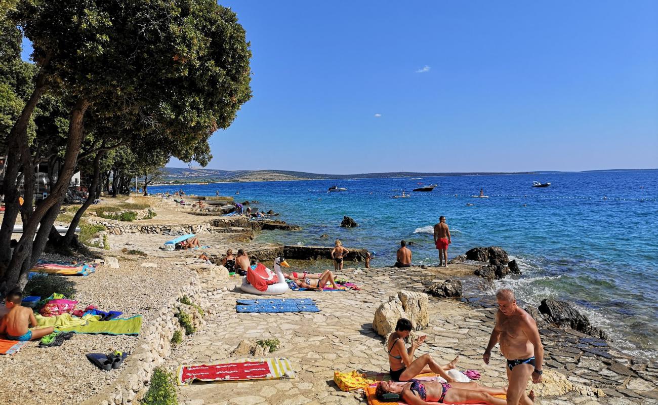 Photo de Scare beach avec roches de surface