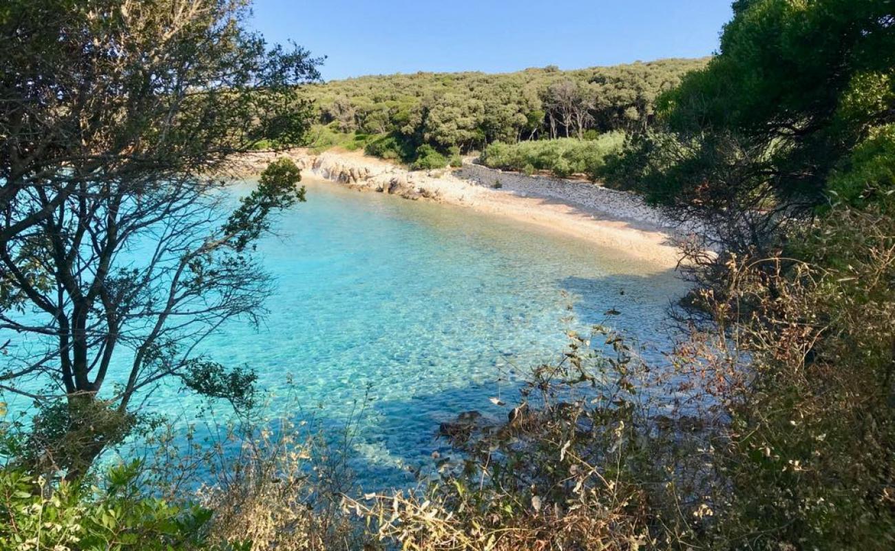 Photo de Dudici beach avec caillou clair de surface