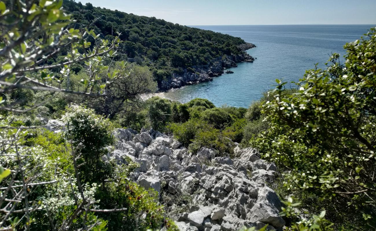 Photo de Olive Gardens beach avec galets beige de surface