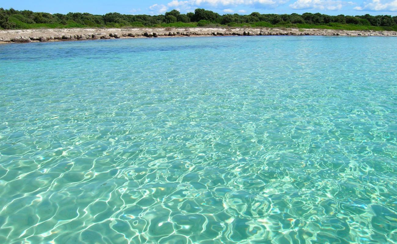 Photo de Baia Slatina beach avec terrain rocheux de surface