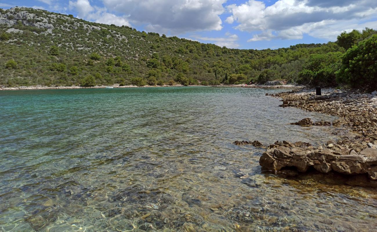 Photo de Jelenica beach avec caillou brun de surface