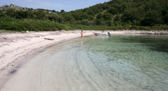 Lojisce beach