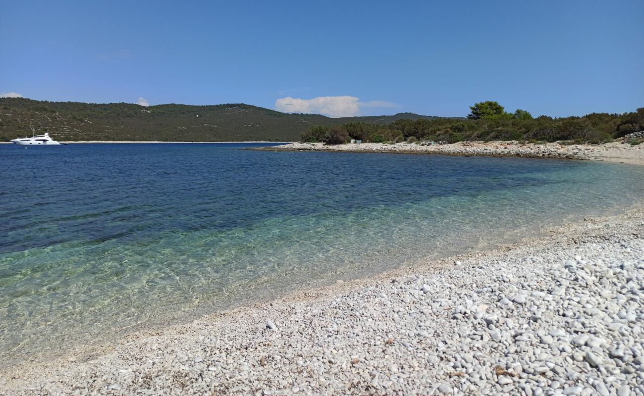 Photo de Lopata beach avec caillou blanc de surface