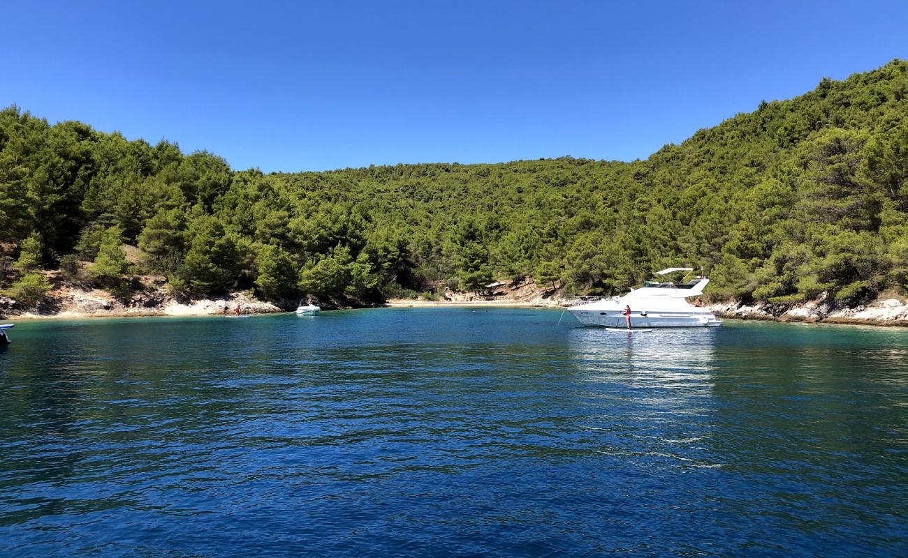 Photo de Zlarin beach avec caillou clair de surface