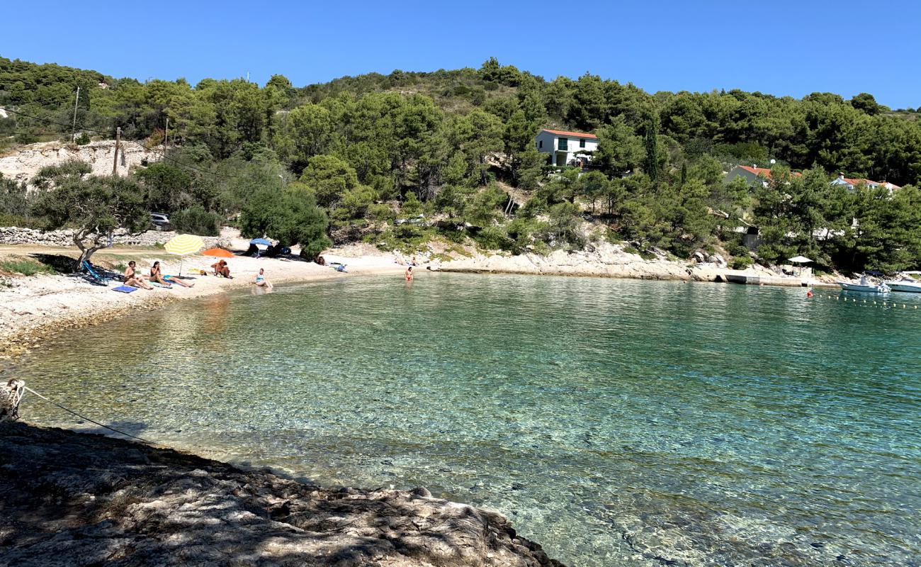 Photo de Gornja Krusica beach avec caillou clair de surface