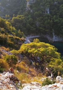 Île de Šolta