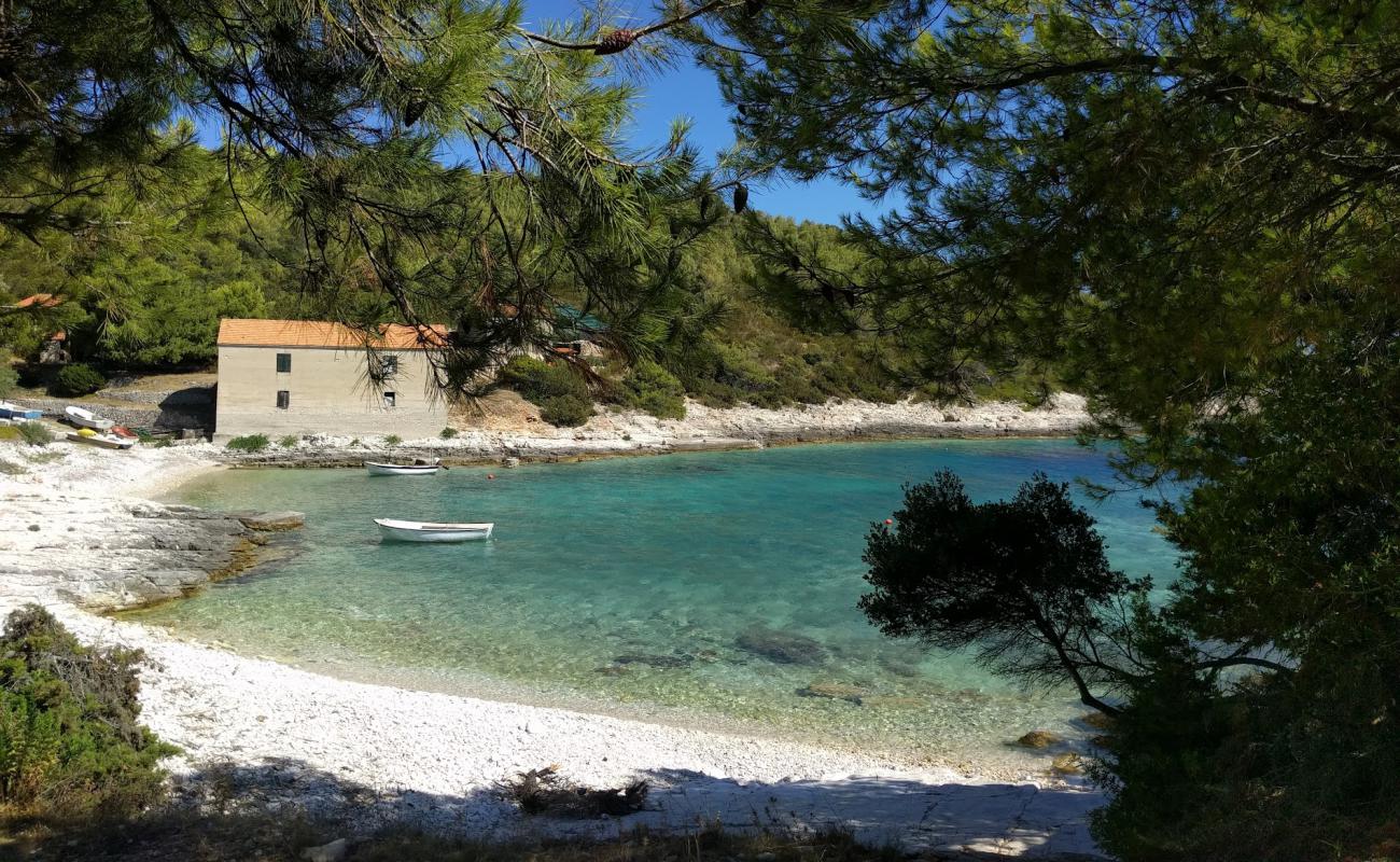 Photo de Vela Travna avec galets blancs de surface