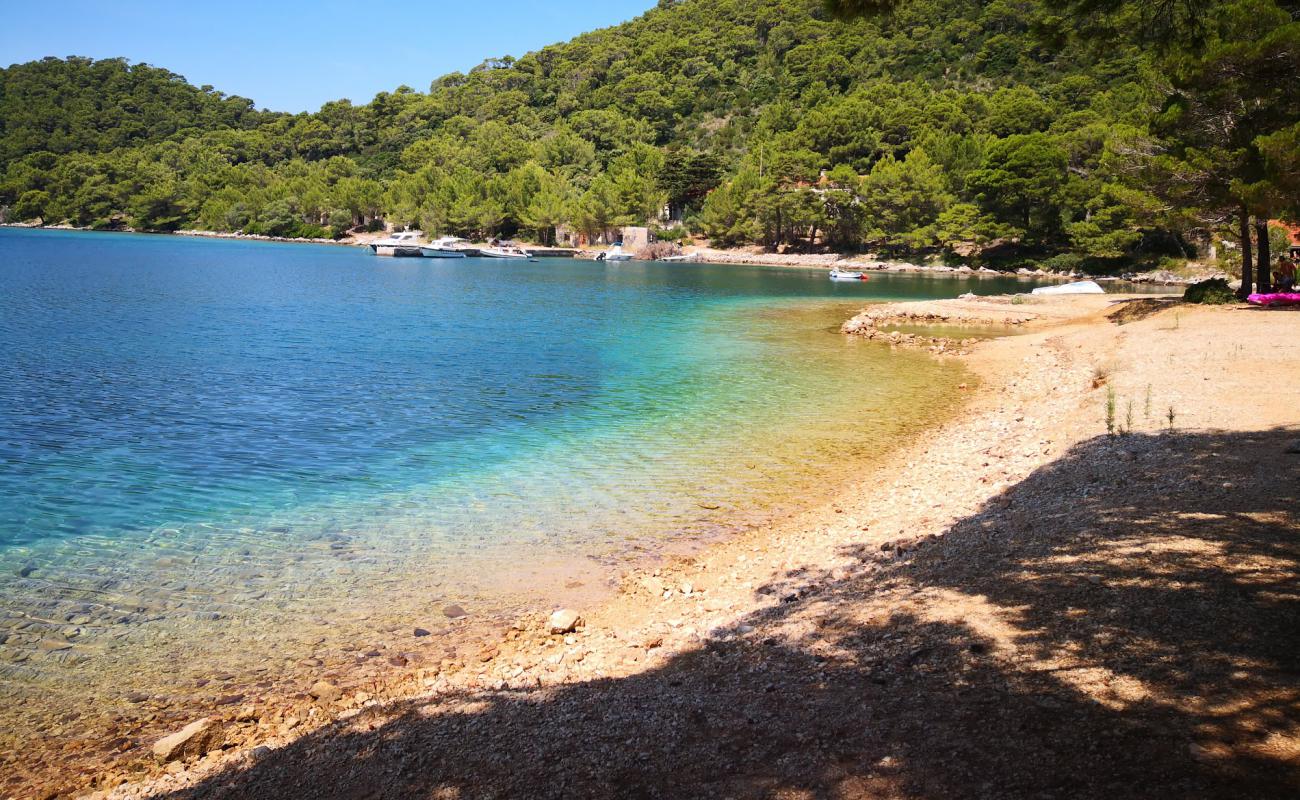 Photo de Jurjeva luka beach avec sable clair avec caillou de surface