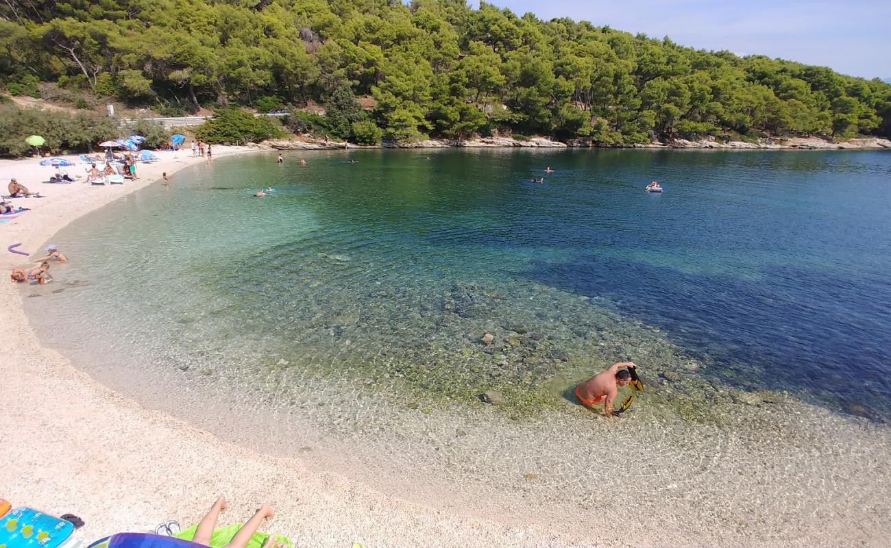 Photo de beach Zastup avec caillou fin clair de surface