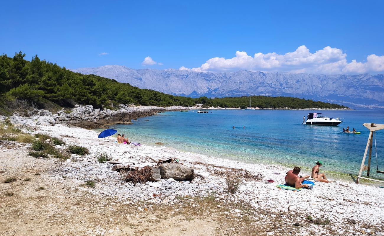 Photo de Puntica beach avec caillou blanc de surface