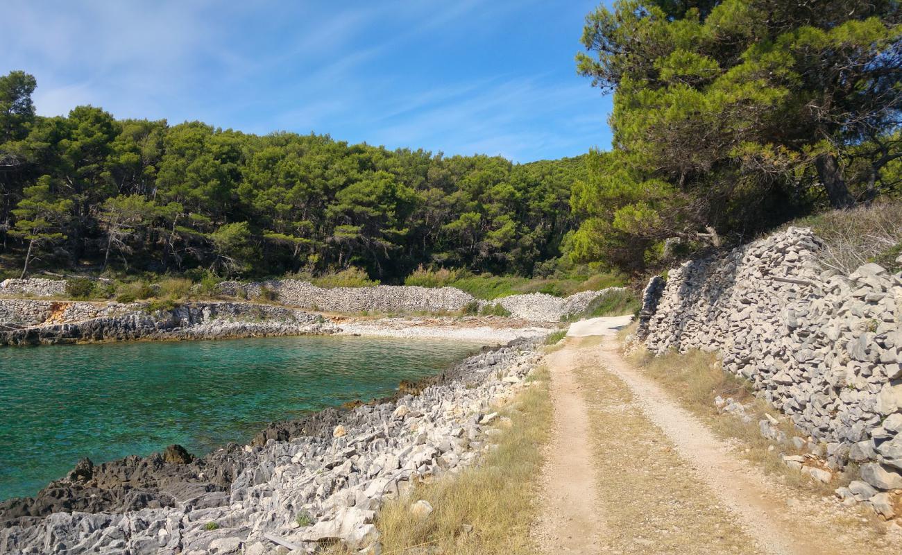 Photo de Puntica II beach avec galets beige de surface