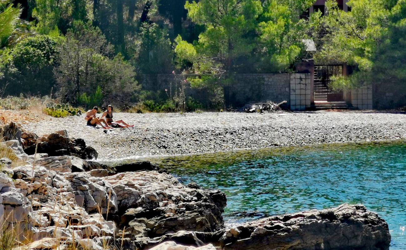 Photo de Hana beach avec galets beige de surface
