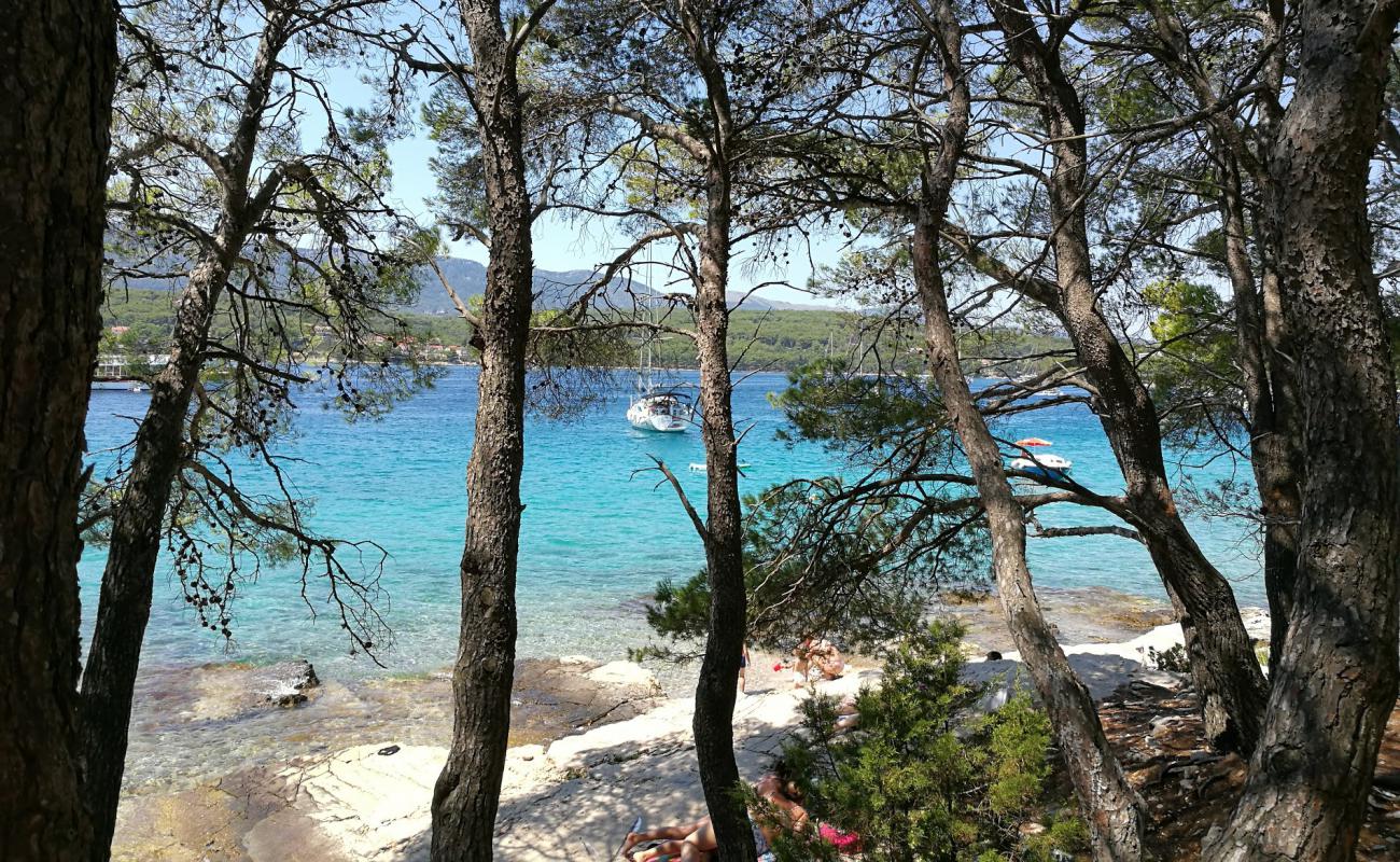 Photo de Paklena beach avec roches de surface