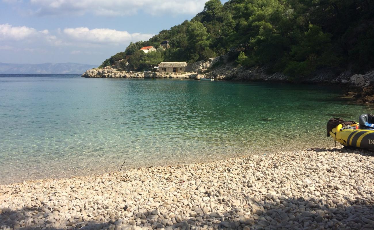 Photo de Zecja beach avec caillou clair de surface