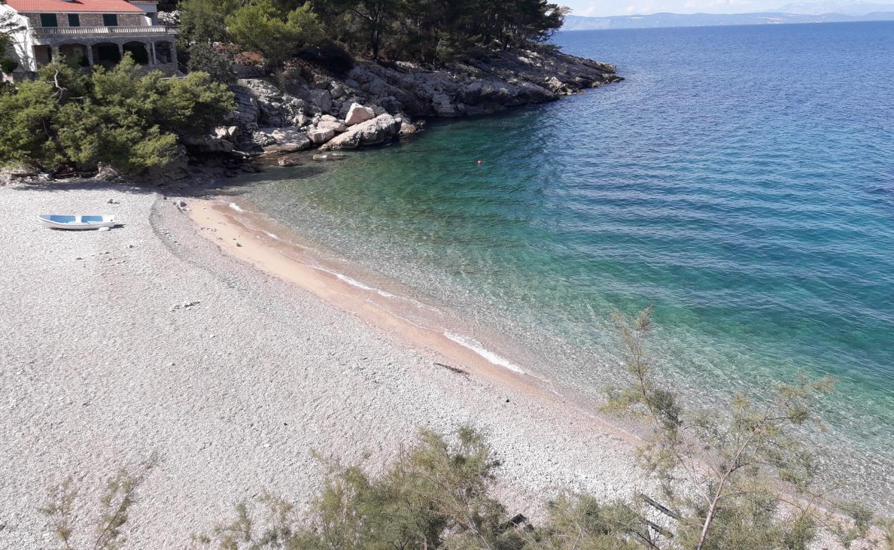 Photo de Robinson beach avec caillou fin clair de surface