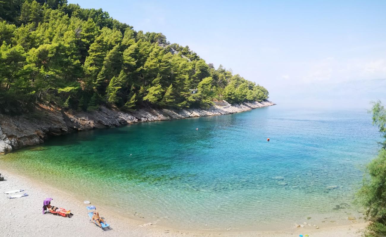 Photo de Mala Pogorila beach avec caillou clair de surface